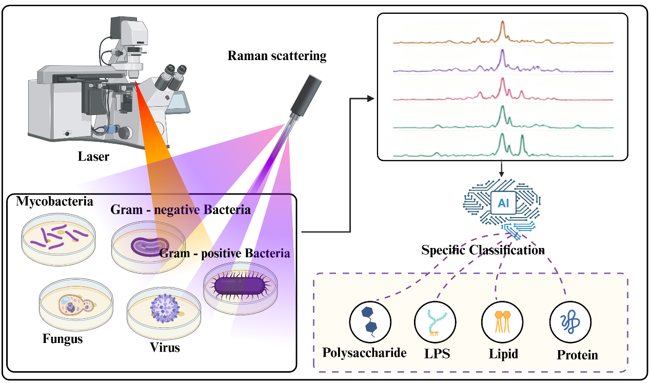 1763426384308882.png 陈奔佳附图2.png