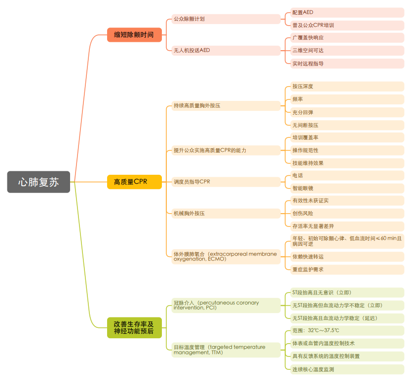 2507050导图.png